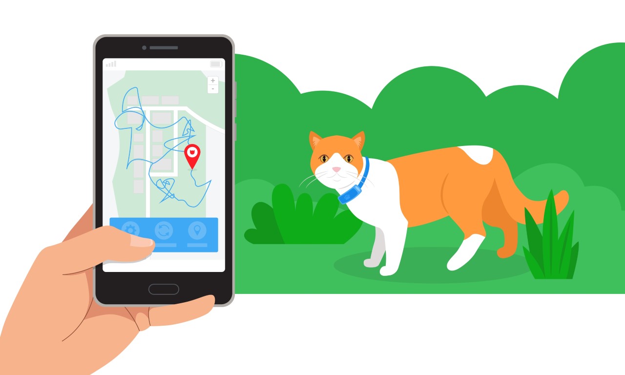 GPS pour chat