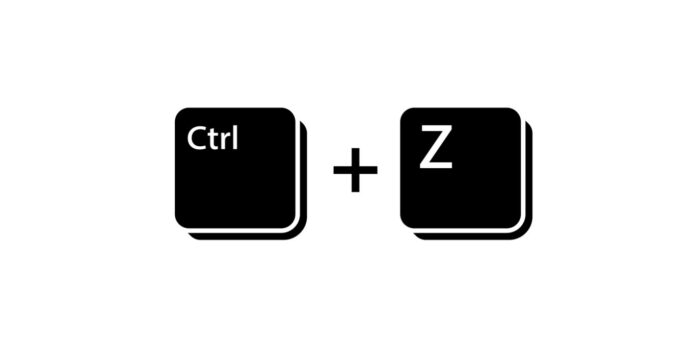 La combinaison de touches Ctrl + Z